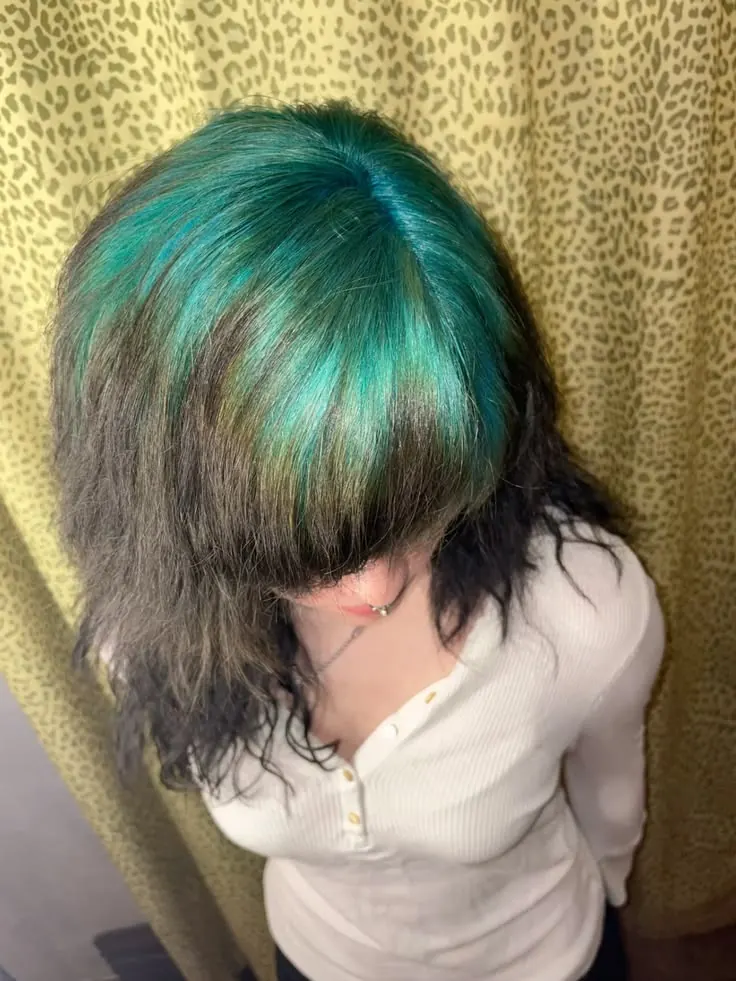 Medium black shag with teal ghost roots spread through the top panel and fringe.
